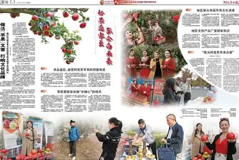 苹果文化故事分类